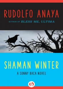 Shaman Winter Read online