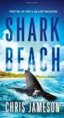 Shark Beach Read online