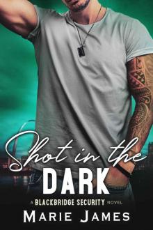 Shot in the Dark (Blackbridge Security Book 2) Read online