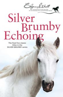 Silver Brumby Echoing Read online