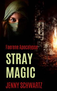 Stray Magic Read online