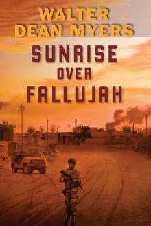 Sunrise Over Fallujah Read online