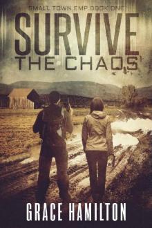 Survive the Chaos (Small Town EMP Book 1) Read online