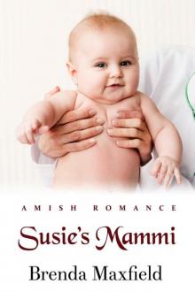Susie's Mammi (Amy's Story Book 2) Read online
