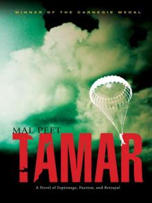 Tamar Read online