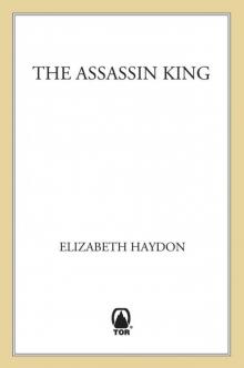 The Assassin King Read online