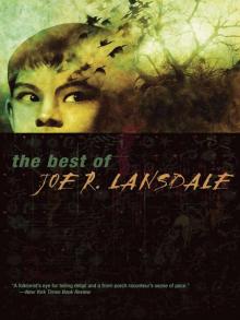 The Best of Joe R. Lansdale Read online