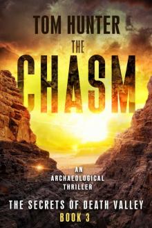 The Chasm Read online