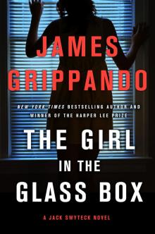 The Girl in the Glass Box Read online