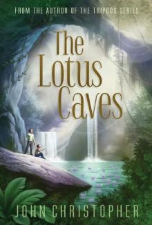 The Lotus Caves Read online