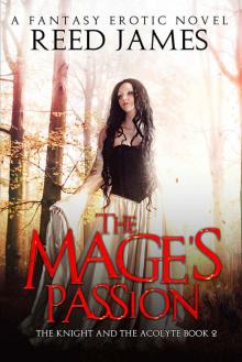 The Mage's Passion Read online