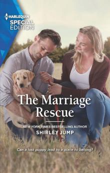 The Marriage Rescue Read online