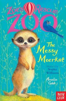 The Messy Meerkat Read online