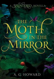 The Moth in the Mirror Read online