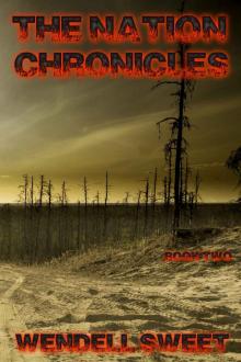 The Nation Chronicles: Book Two (The Nation Chronicles Trilogy 2)