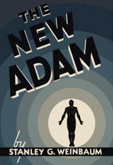 The New Adam Read online