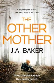 The Other Mother Read online