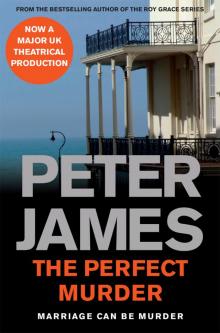 The Perfect Murder Read online