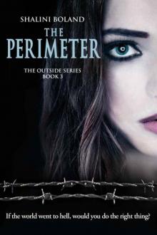 The Perimeter Read online