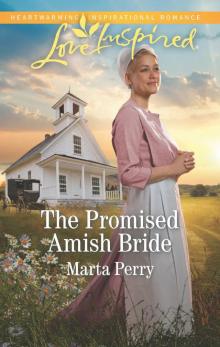 The Promised Amish Bride Read online