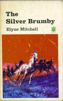 The Silver Brumby Read online