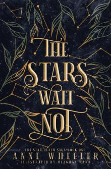 The Stars Wait Not Read online