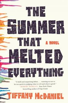The Summer That Melted Everything Read online