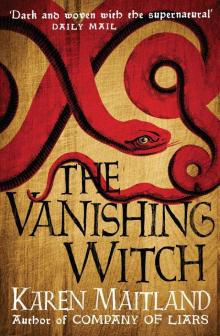 The Vanishing Witch Read online