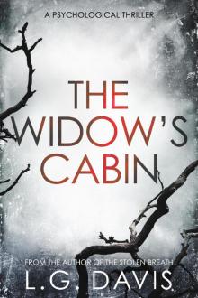The Widow's Cabin Read online