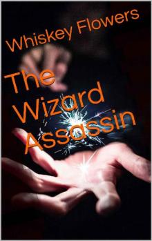 The Wizard Assassin Read online