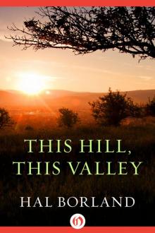 This Hill, This Valley Read online
