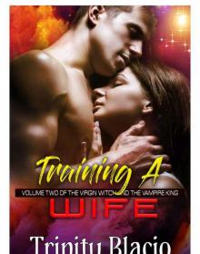 Training a Wife Read online