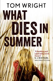 What Dies in Summer Read online