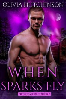 When Sparks Fly (Netherworld Series Book 3) Read online