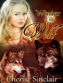 Winter of the Wolf Read online