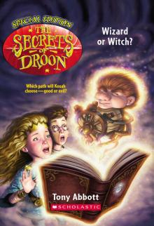 Wizard or Witch? Read online