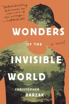 Wonders of the Invisible World Read online