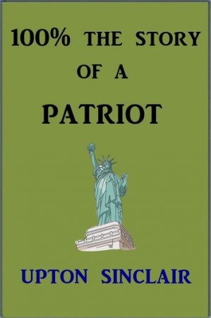 100%: the Story of a Patriot Read online
