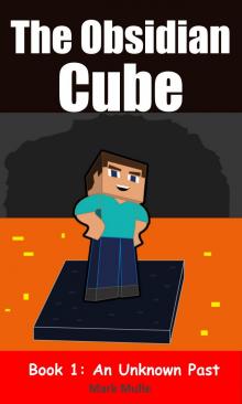 The Obsidian Cube, Book 1: An Unknown Past Read online