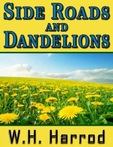 Side Roads and Dandelions Read online