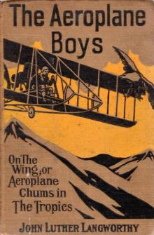 Aeroplane Boys on the Wing