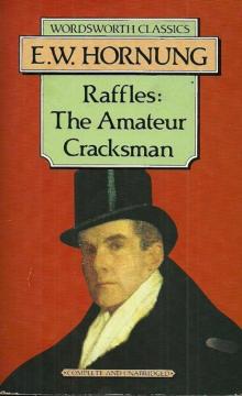 The Amateur Cracksman Read online