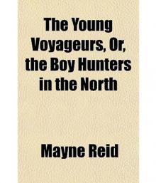 The Young Voyageurs: Boy Hunters in the North Read online