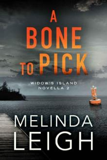A Bone to Pick (Widow's Island Novella Book 2) Read online