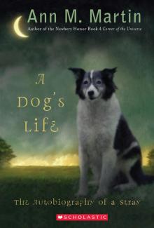 A Dog's Life: The Autobiography of a Stray Read online