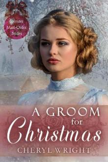 A Groom for Christmas (Spinster Mail-Order Brides Book 9) Read online