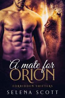 A Mate For Orion (Forbidden Shifters Series Book 5) Read online