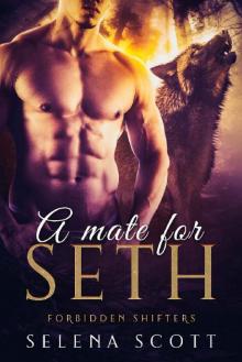 A Mate For Seth Read online