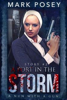 A Port in the Storm Read online