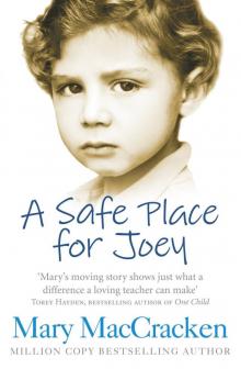 A Safe Place for Joey Read online